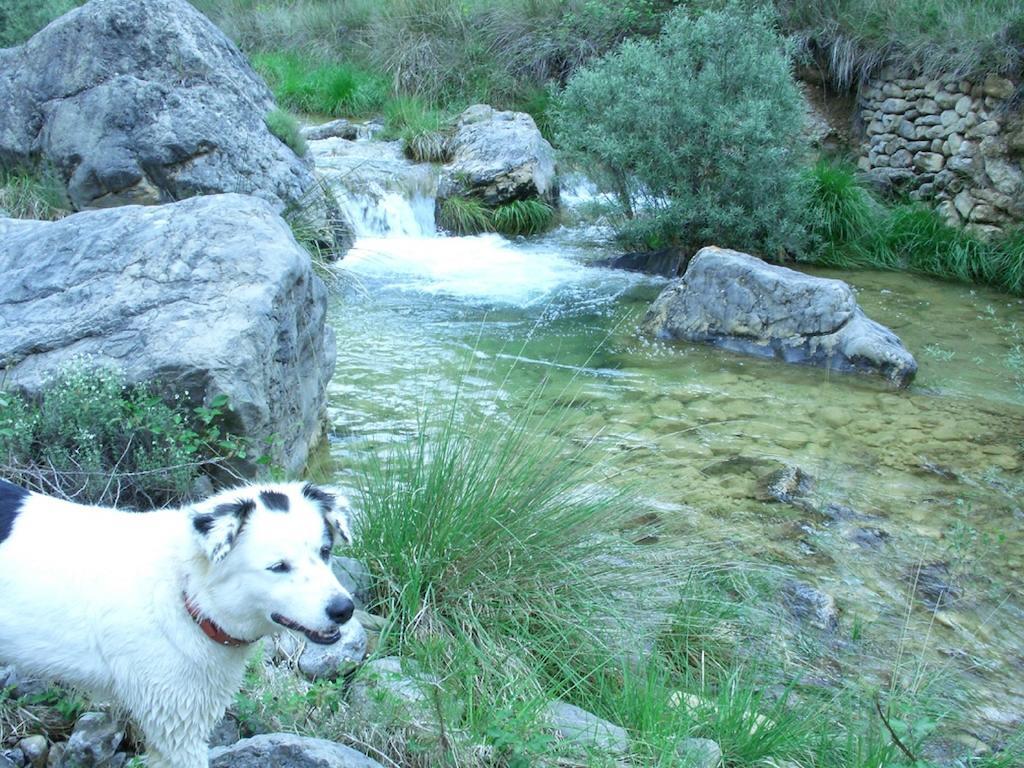 Masía La Posada Del Río Carbo Vilafermosa del Riu  Exterior foto
